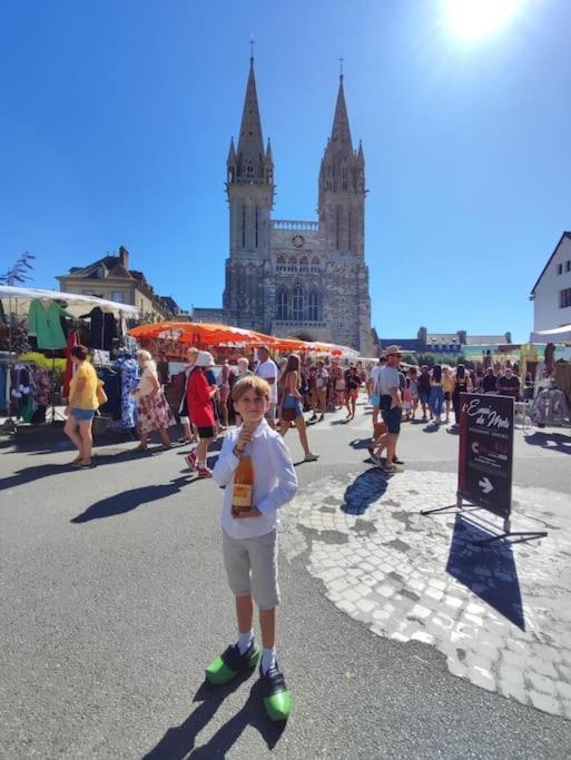 Au Calme En Ville, A 2km De La * Saint-Pol-de-Léon